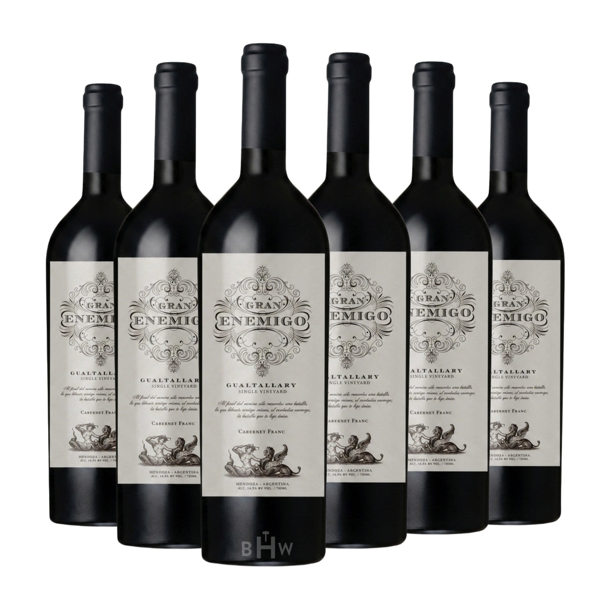 Six bottles of 2021 Gran Enemigo 'Gualtallary' Single Vineyard Cabernet Franc Uco Valley red wine. Curated by Big Hammer Wines.