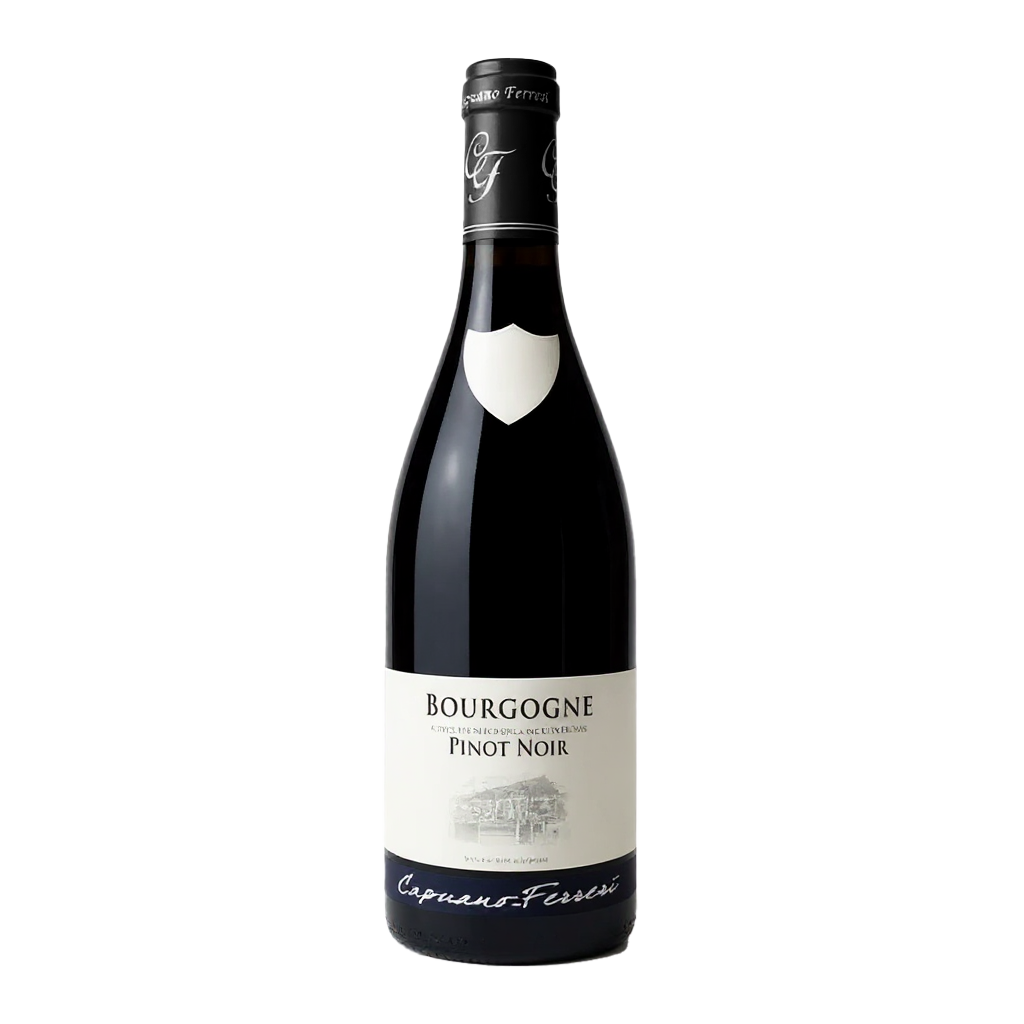 2022 Capuano Ferreri Bourgogne Pinot Noir