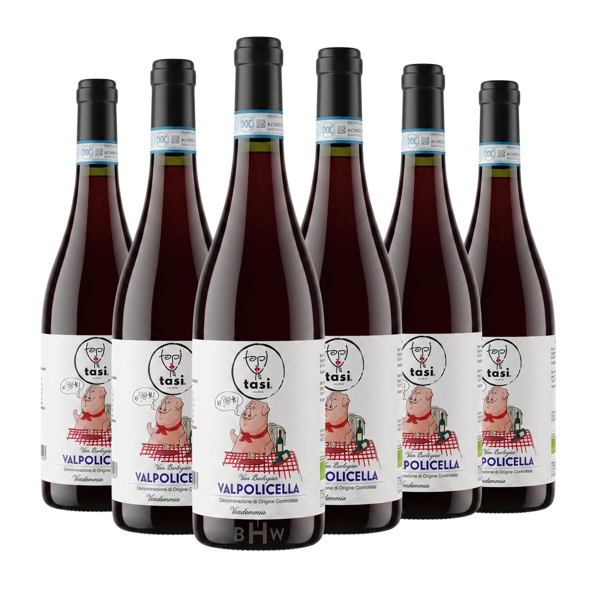 2022 Tasi Valpolicella DOC Veneto 6-pack red wine bottles, curated by Big Hammer Wines.