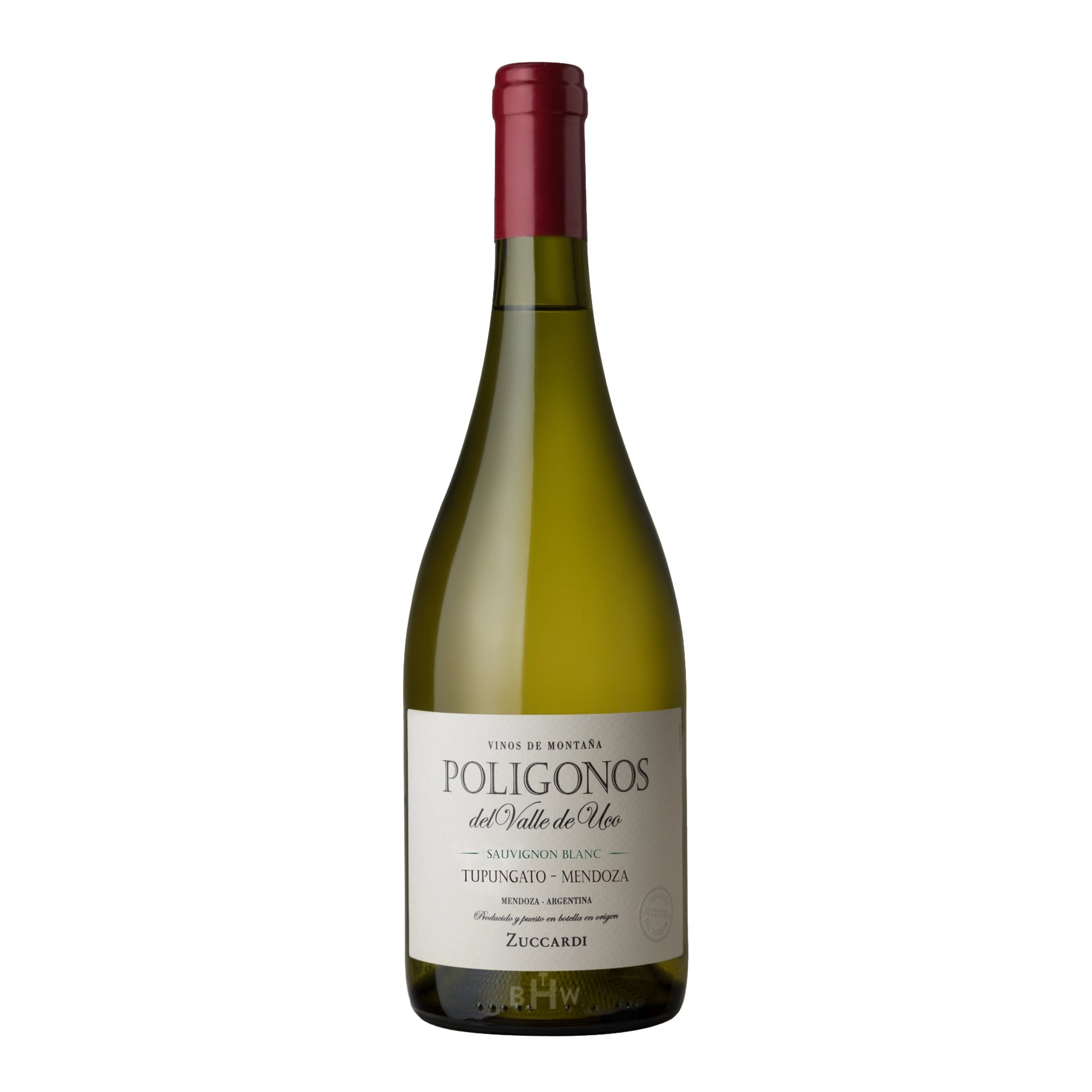 2022 Zuccardi Poligonos Tupungato Sauvignon Blanc Uco Valley