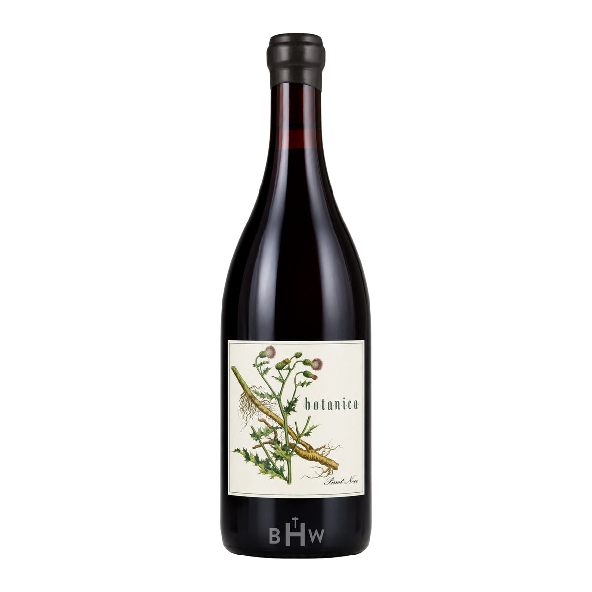 2023 Antica Terra 'Botanica' Pinot Noir Eola-Amity Hills single red wine bottle, curated by Big Hammer Wines.