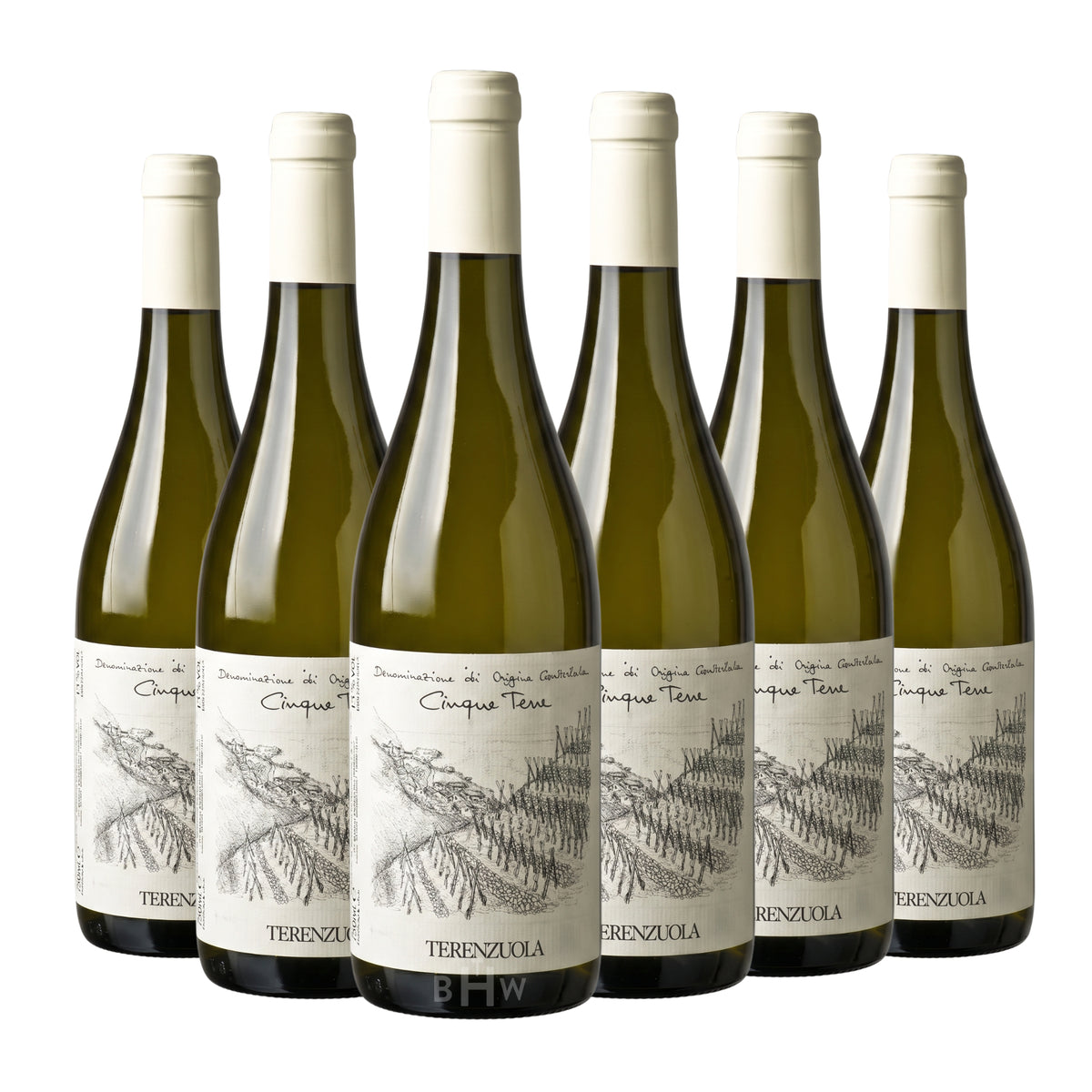 2023 Terenzuola Cinque Terre Bianco DOC Liguria 6-pack white wine bottles, curated by Big Hammer Wines.