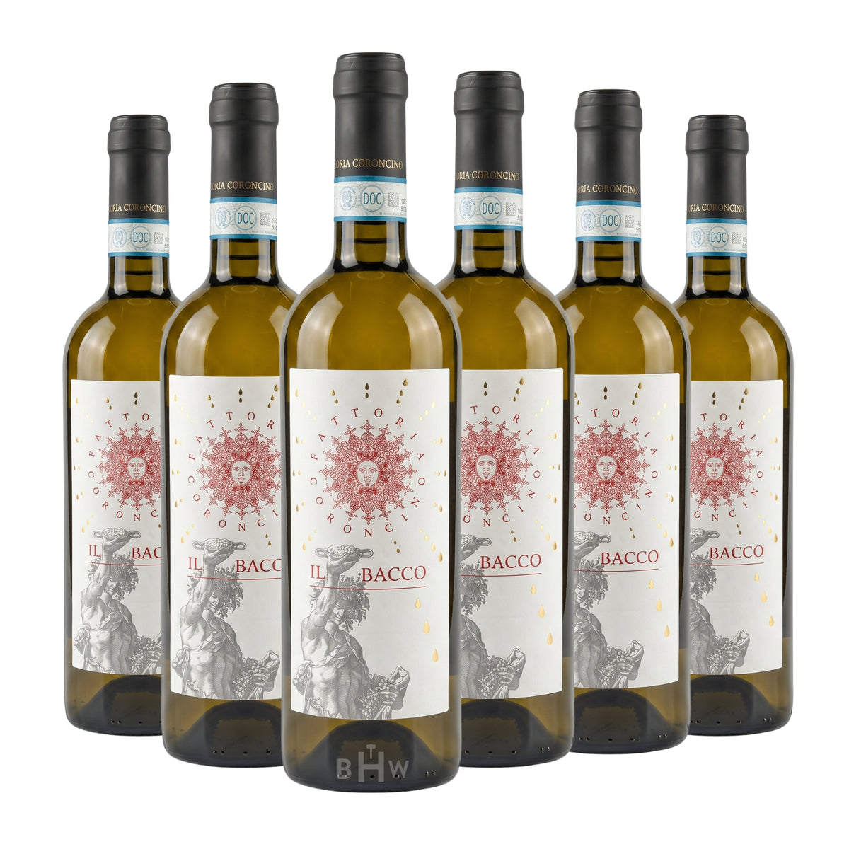 2024 Fattoria Coroncino 'Il Bacco' Verdicchio dei Castelli di Jesi Classico Superiore DOC Marche 6-pack white wine bottles, curated by Big Hammer Wines.