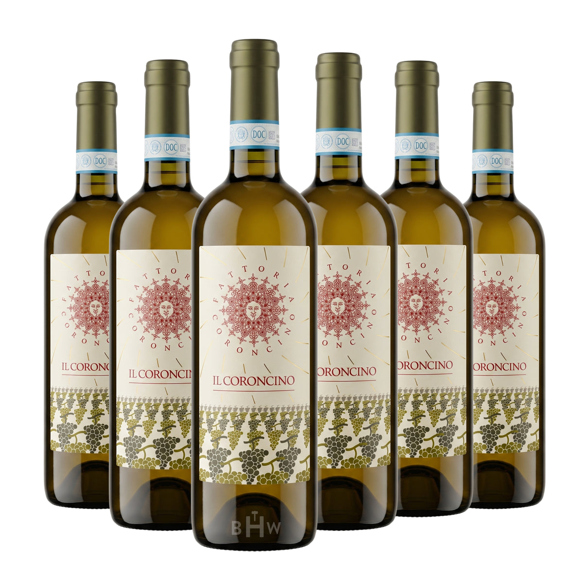 2024 Fattoria Coroncino 'Il Coroncino' Verdicchio dei Castelli di Jesi Classico Superiore DOC Marche 6-pack white wine bottles, curated by Big Hammer Wines.