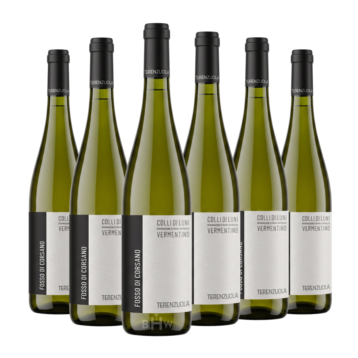 2024 Terenzuola 'Fosso di Corsano' Vermentino Colli di Luni DOC Tuscany 6-pack white wine bottles, curated by Big Hammer Wines.