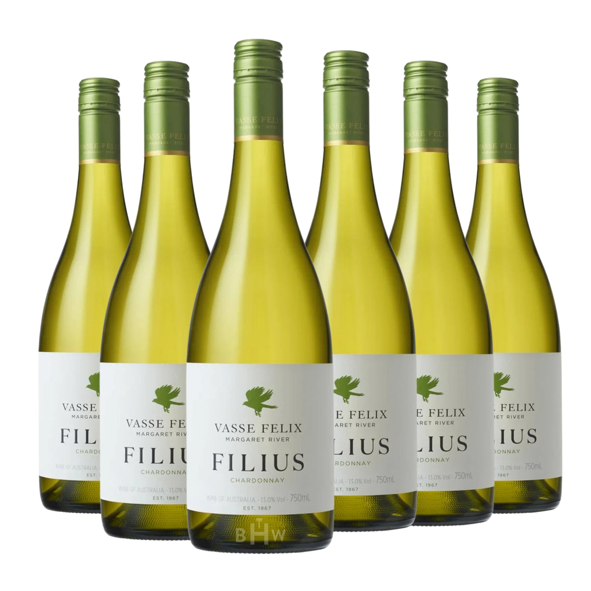 Six bottles of 2024 Vasse Felix 'Filius' Margaret River Chardonnay white wine. Curated by Big Hammer Wines.