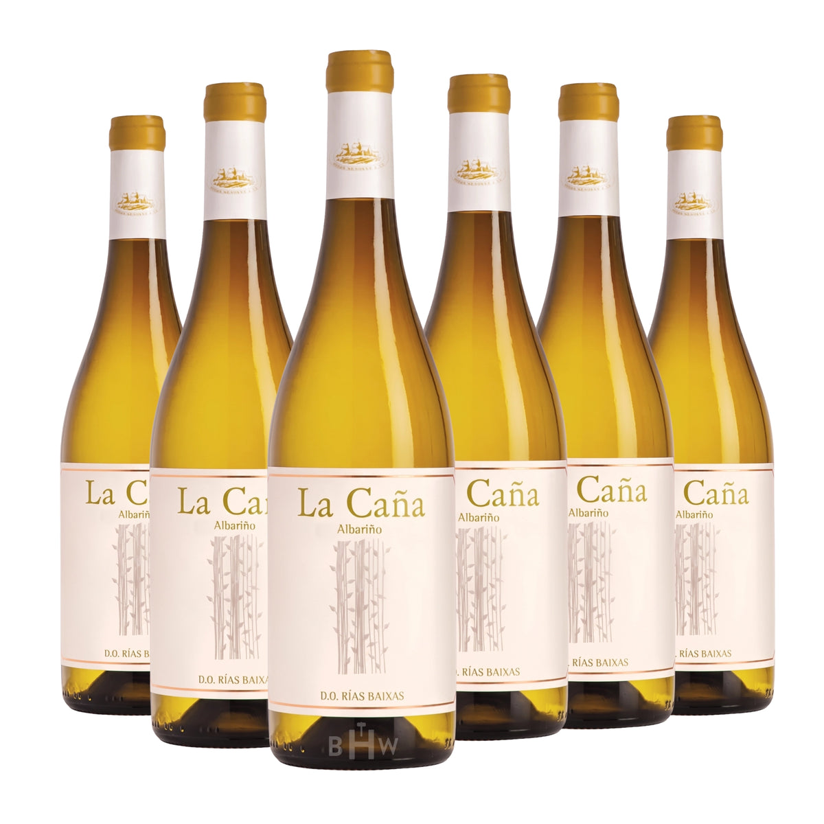 Six bottles of 2025 La Caña Rías Baixas Albariño white wine. Curated by Big Hammer Wines.