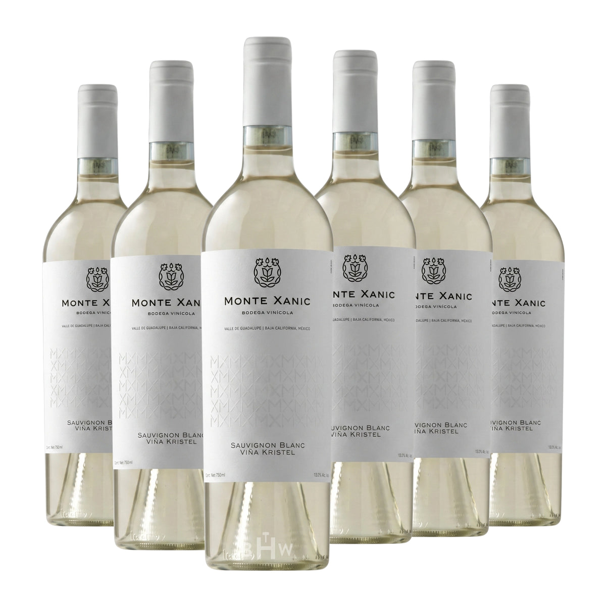 Six bottles of 2025 Monte Xanic Viña Kristel Sauvignon Blanc white wine, curated by Big Hammer Wines.