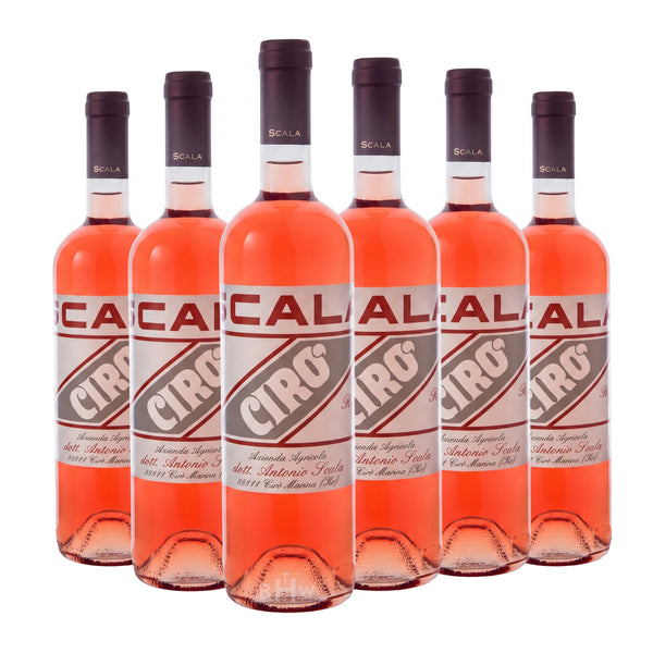 2025 Scala Cirò Rosato DOC Gaglioppo Calabria 6-pack rosé wine bottles, curated by Big Hammer Wines.