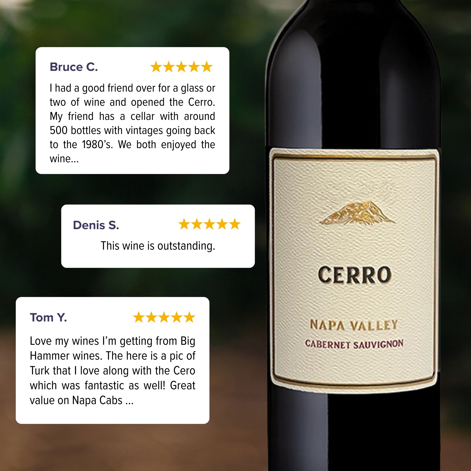 2022 Cerro Cabernet Sauvignon Napa Valley