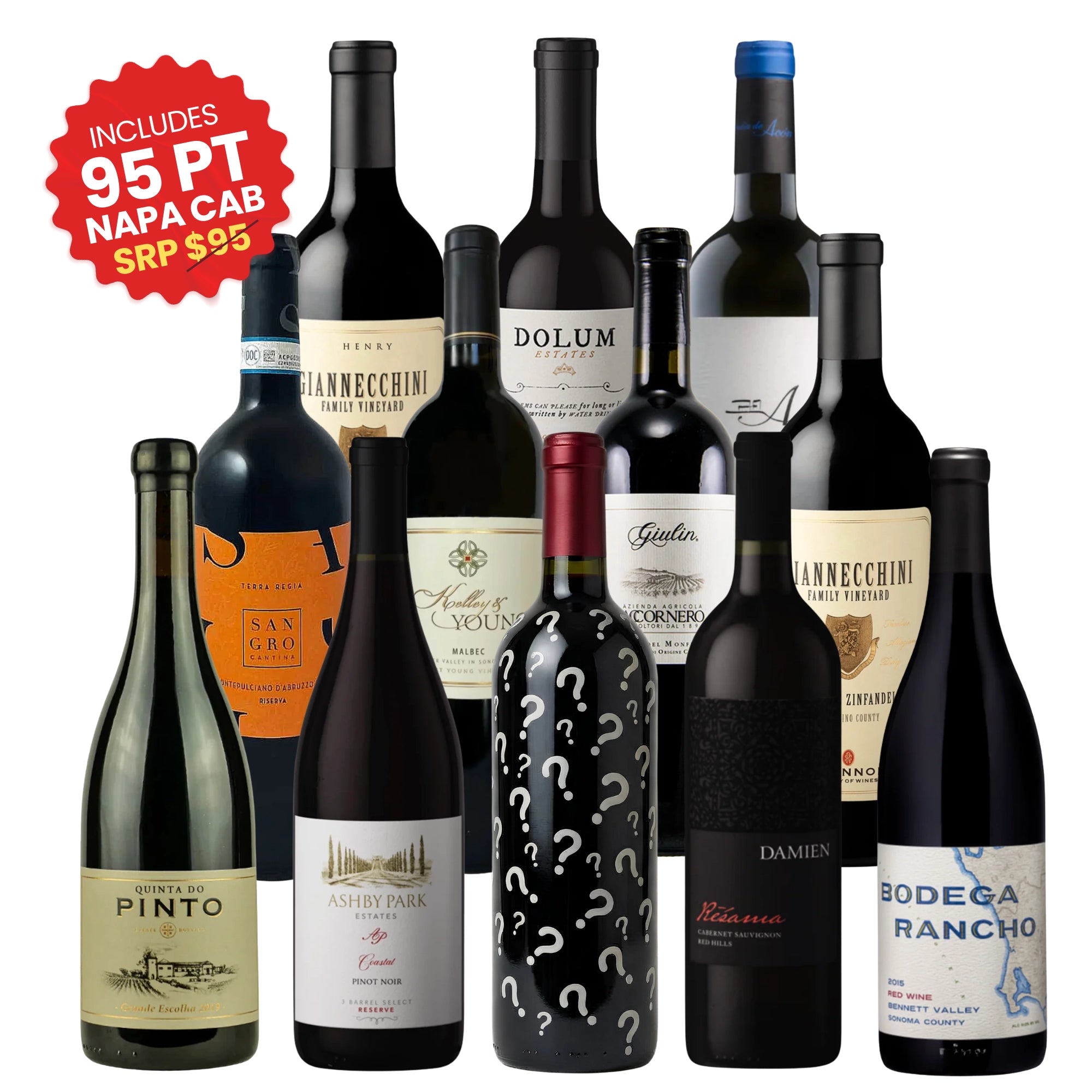 "Adventures in Wine" Wine Club 12-Pack featuring premium red wines including Napa Valley Cabernet Sauvignon, Zinfandel, Malbec, and top international red wines, 12x750ml bottles curated by Big Hammer Wines