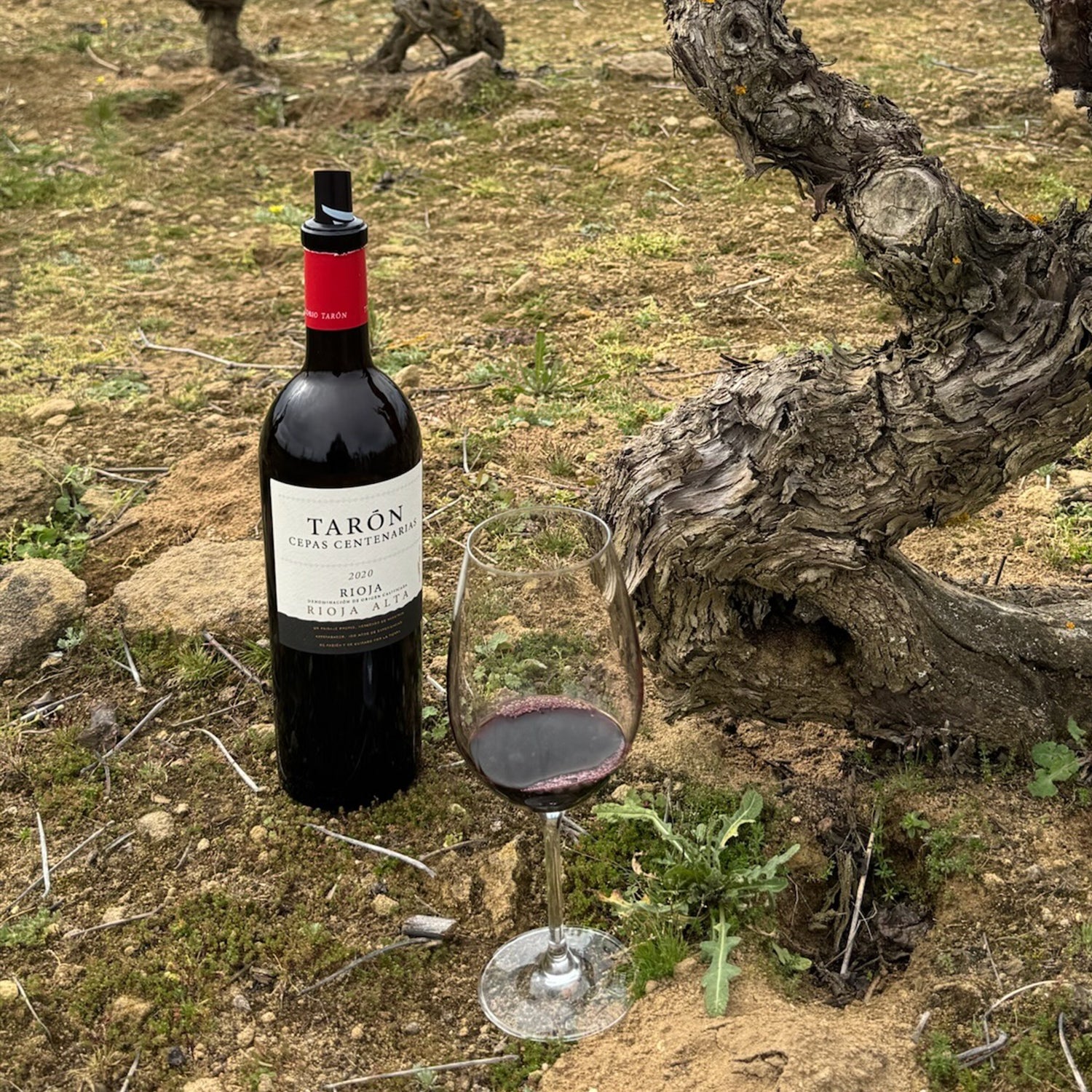 2020 Bodegas Taron Cepas Centenarias Rioja DOCa bottle with a glass of red wine, set against old vines in the vineyard.