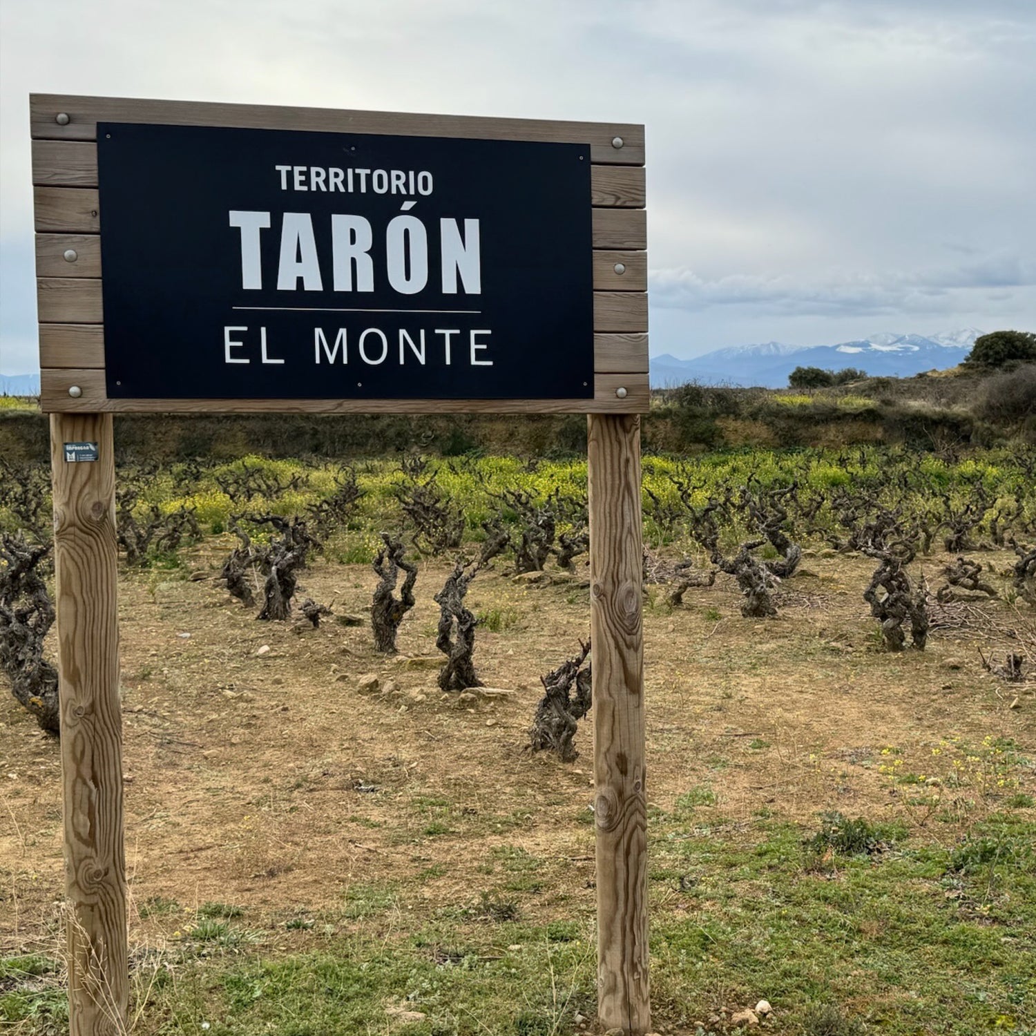 Territorio Taron El Monte' vineyard sign at Bodegas Taron, showcasing their old vines with a stunning mountainous backdrop.