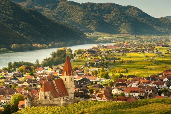Austria wine