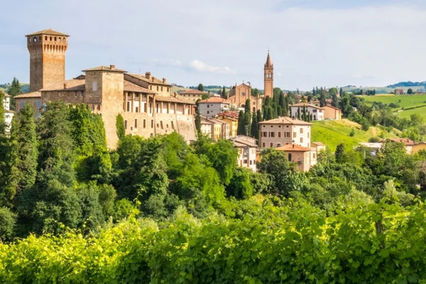 Emilia-Romagna wine