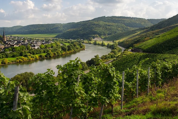 Germany wine
