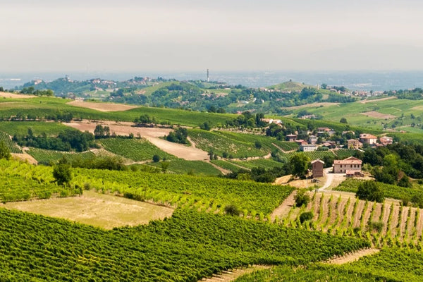 Lombardy wine