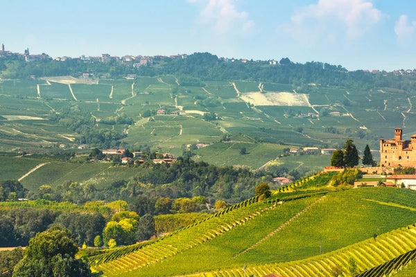 Piemonte wine