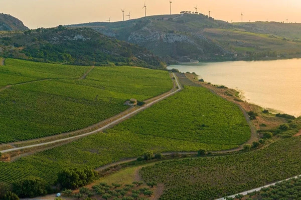 Sicily wine