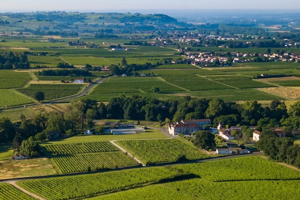 South West France wine