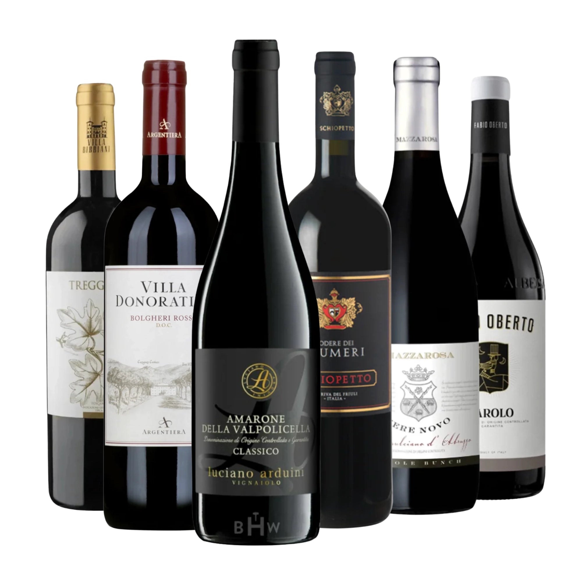 Italian Ambassador Red Wine Club 6-pack with Amarone Classico, Bolgheri Rosso DOC, Barolo, Friuli red, and other top Italian regional selections, 750ml bottles