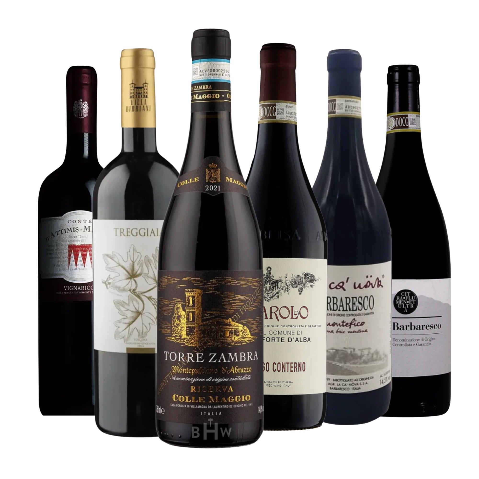 Six bottles of premium Italian red wine from the Italian Ambassador Red Wine Club collection. The selection features a variety of labels including Torre Zambra Montepulciano d'Abruzzo Riserva, Villa Bibbiani Treggiaia, and Barolo and Barbaresco selections, curated by Big Hammer Wines.