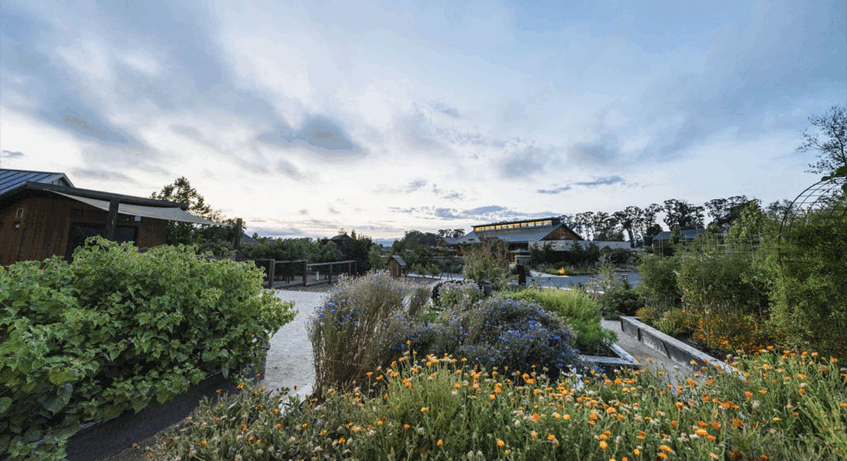 Scenic view of a garden with pathways and greenery under a partly cloudy sky.