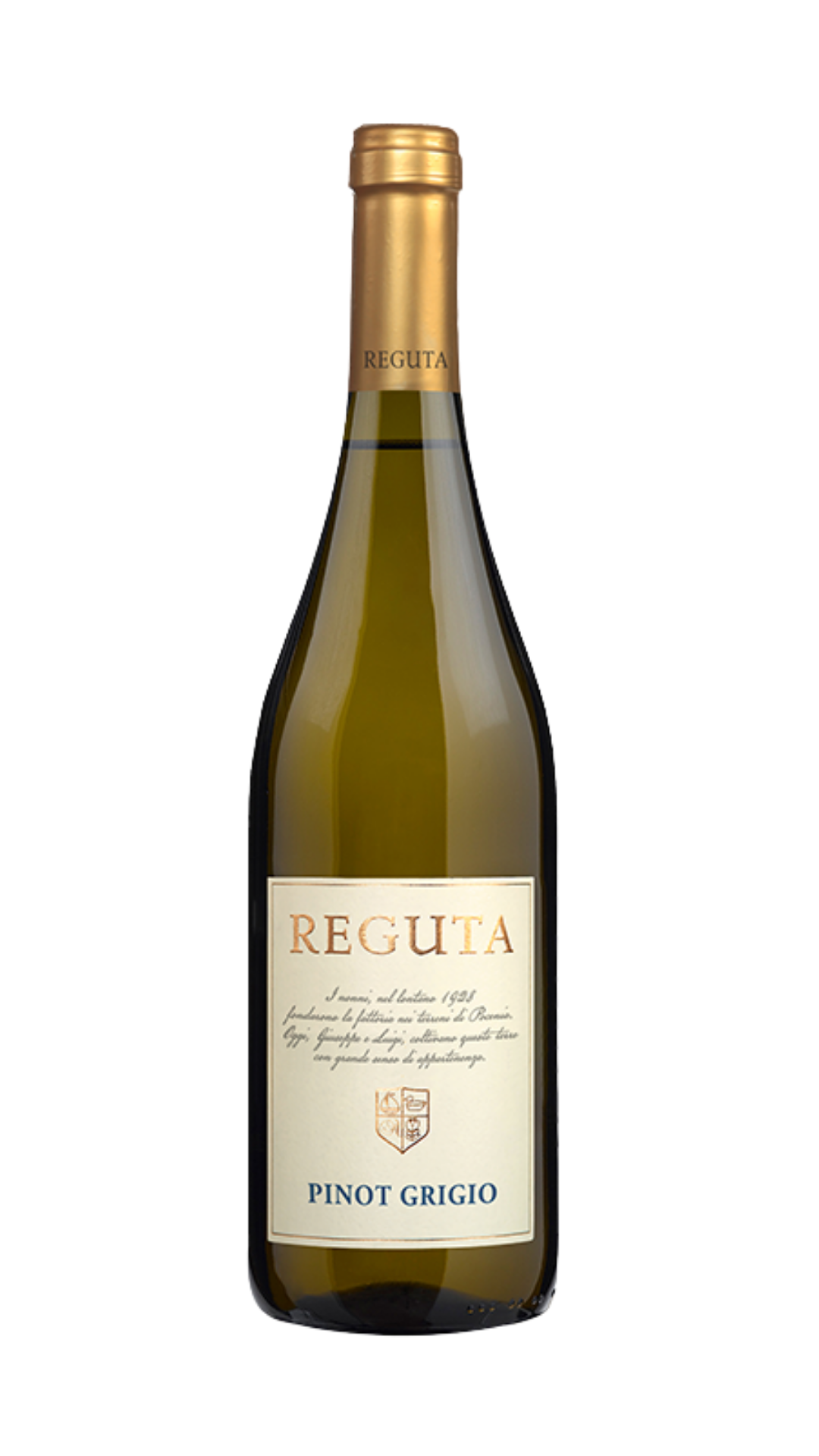 2020 Reguta Pinot Grigio Trevenezie