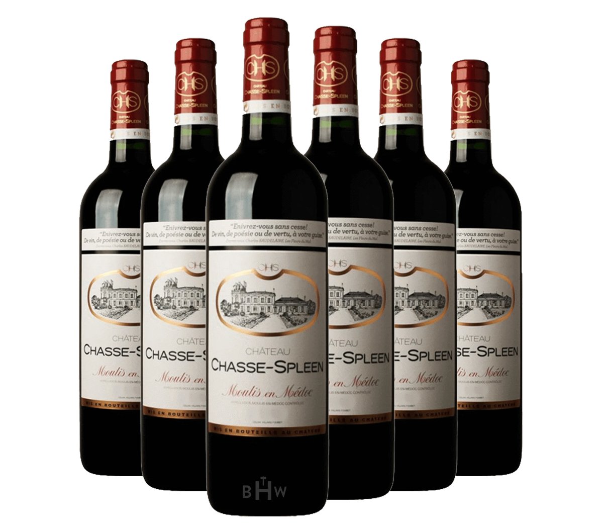 2020 Château Chasse-Spleen Moulis en Medoc FUTURES 6 x 750ml
