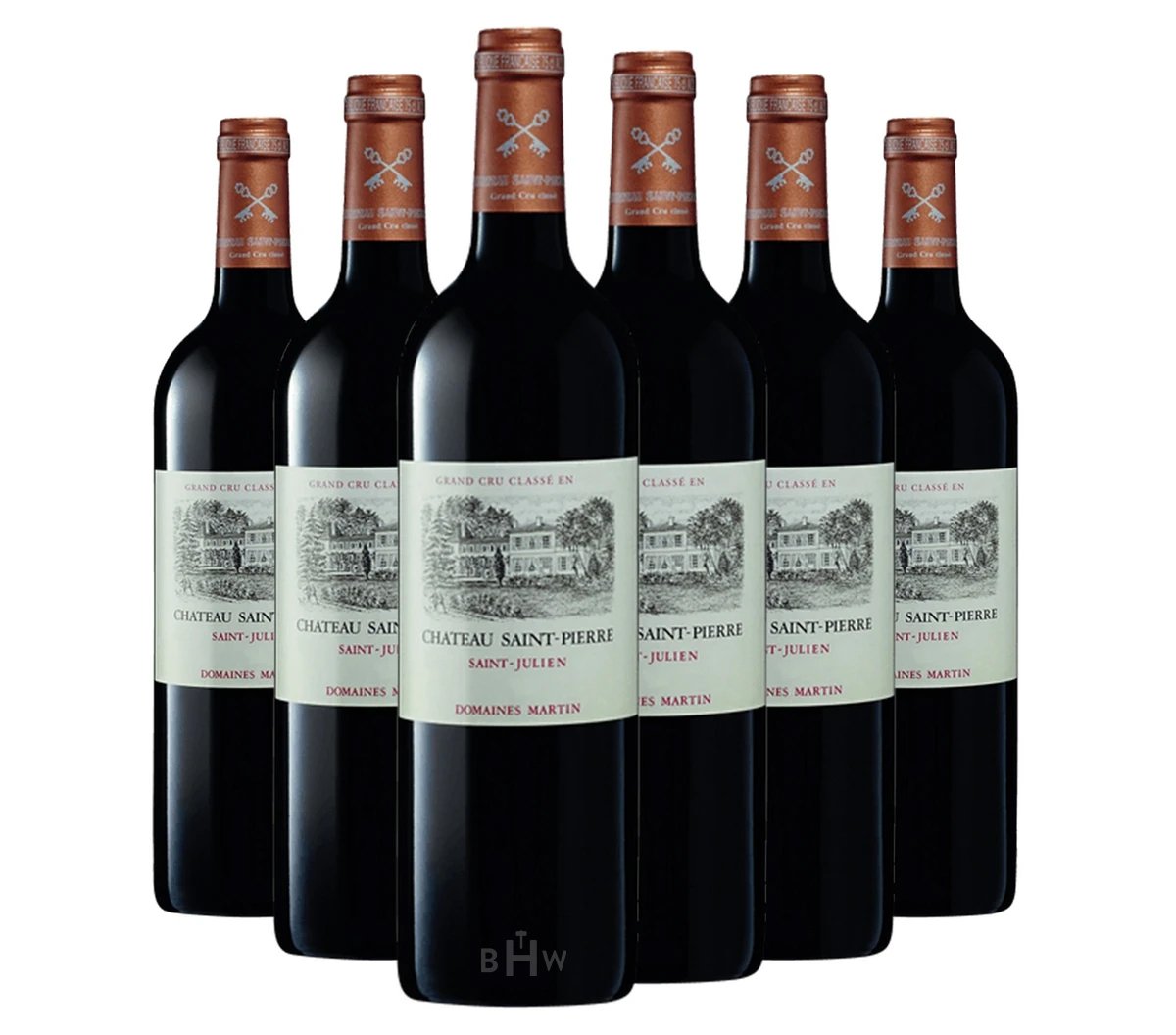 2020 Chateau Saint Pierre Saint Julien FUTURES 6 x 750ml