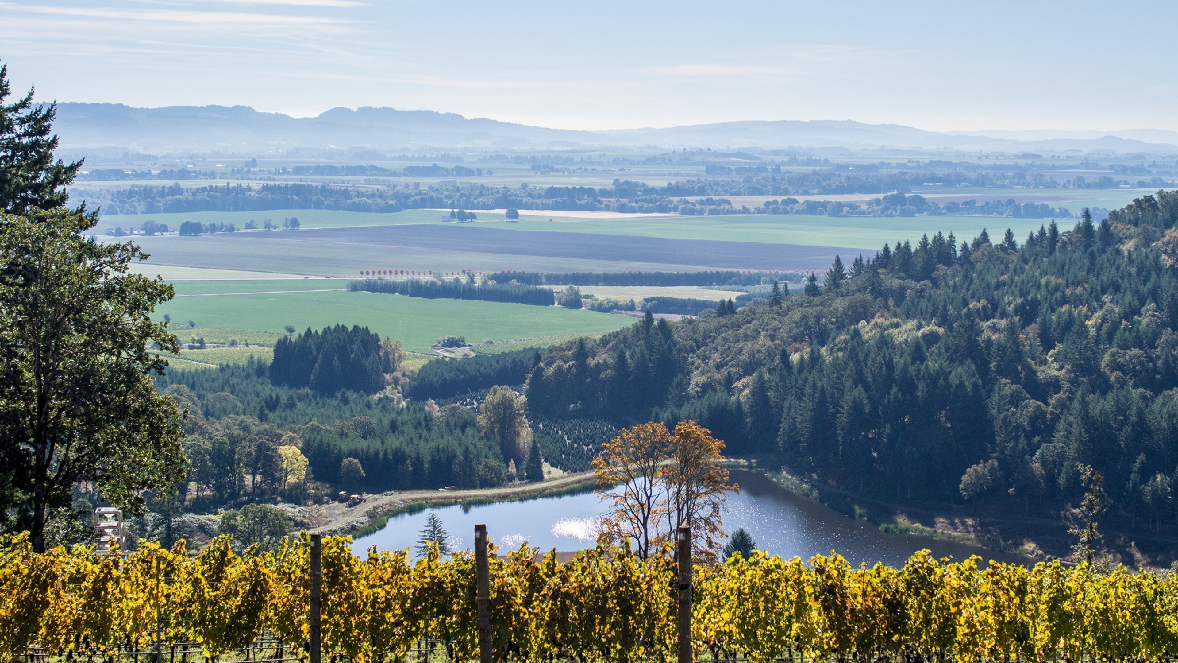 Willamette Valley Landscape