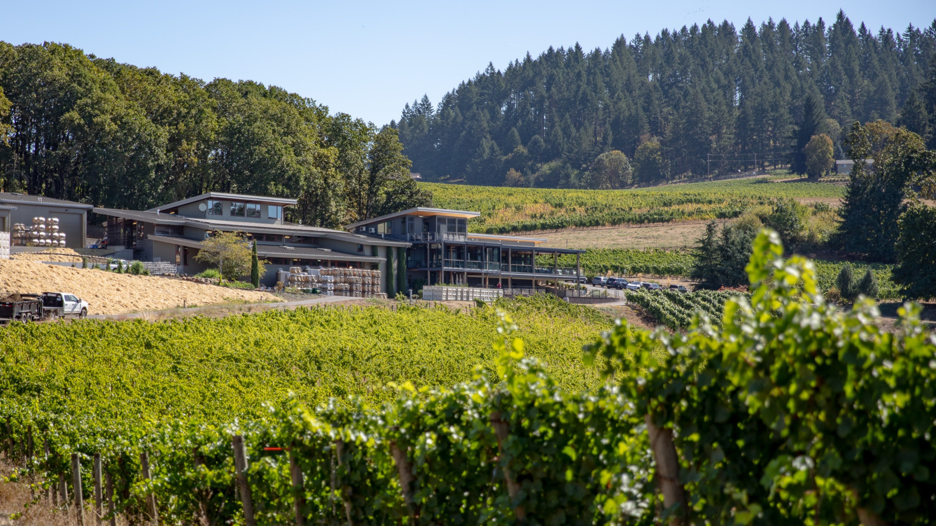 Willamette Valley & Portland: The BigHammer Insider's Wine Country Travel Guide