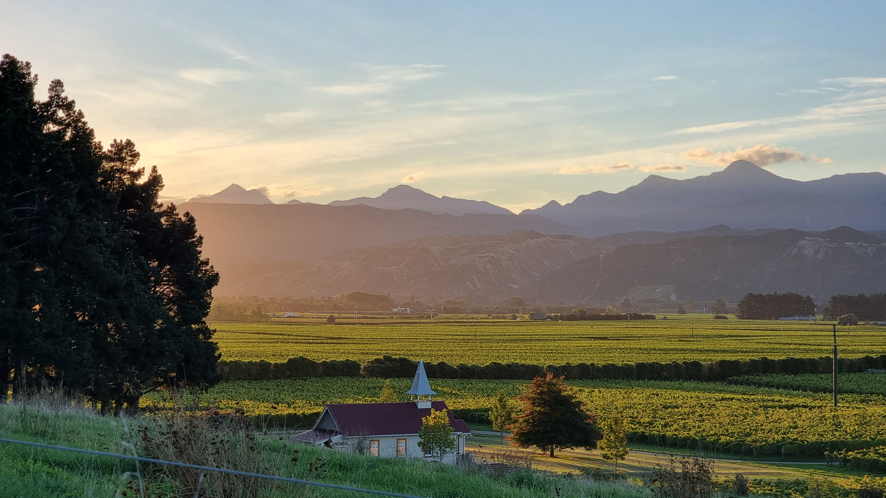 The Clos Henri chapel among golden Sauvignon Blanc vines in Marlborough, New Zealand