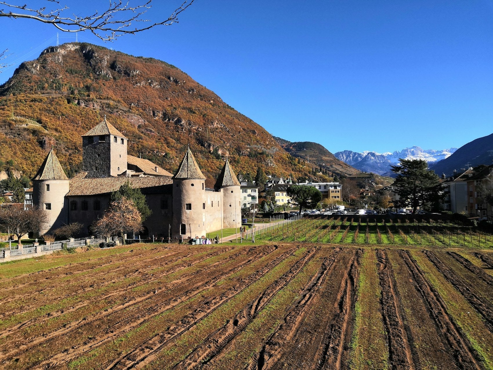 Trentino-Alto Adige: Alpine Precision in Two Languages