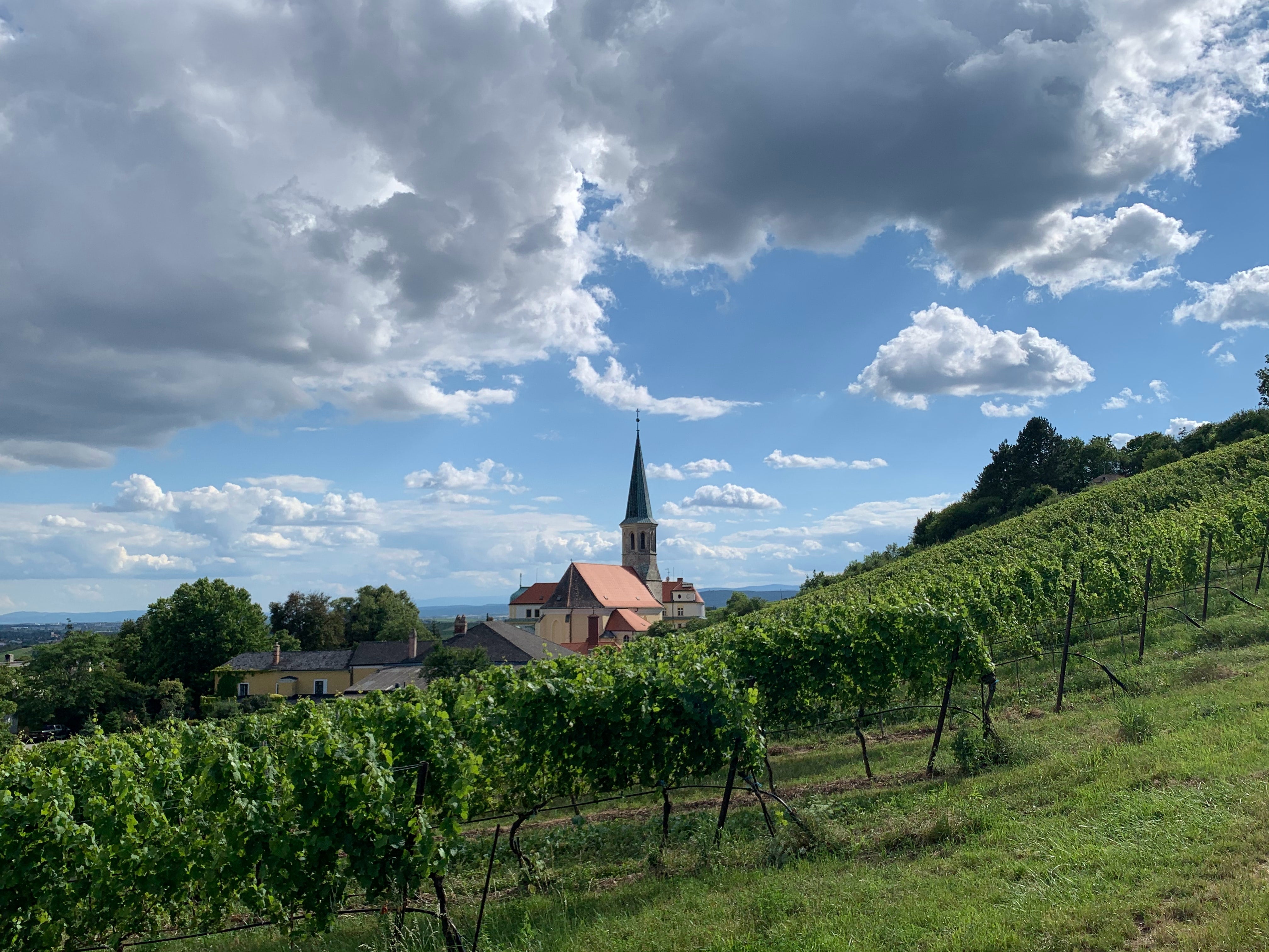 Austrian Wine and Its Regions, An Introduction - Learn More From Online Wine Experts