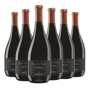 Image of 2018 Ippolito 1845 Ripe del Falco Ciro Riserva Gaglioppo 6pk 6x750ml