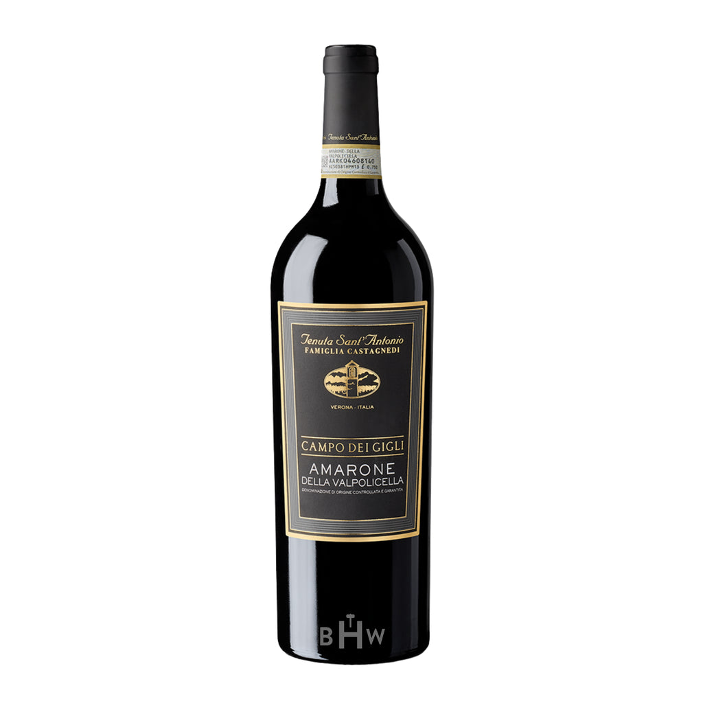 2018 Tenuta Sant'Antonio 'Campo dei Gigli' Amarone della Valpolicella single red wine bottle, curated by Big Hammer Wines.