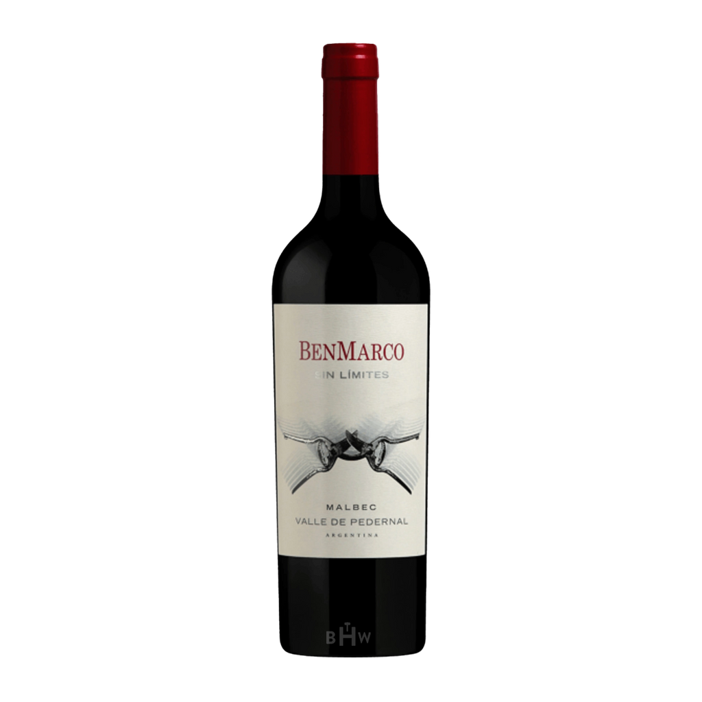 2019 Susana Balbo Wines BenMarco Sin Limites Malbec Pedernal Valley
