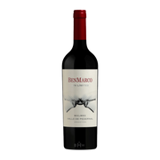 Image of 2019 Susana Balbo Wines BenMarco Sin Limites Malbec Pedernal Valley