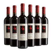 Image of 2020 Argiolas Turriga Sardinia 6pk 6x750ml