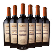 Image of 2020 Garzon Balasto Maldonado 6pk 6x750ml
