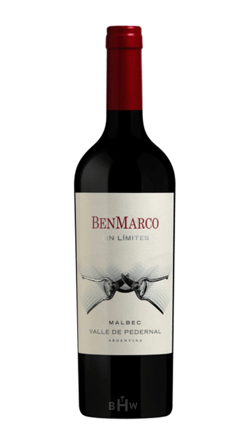 2020 Susana Balbo Wines BenMarco Sin Limites Malbec Pedernal Valley