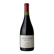 Image of 2020 Zuccardi Poligonos San Pablo Malbec Uco Valley