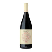Image of 2020 Planeta Frappato Vittoria Sicily