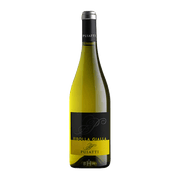 Image of 2021 Puiatti Ribolla Gialla Friuli-Venezia Giulia