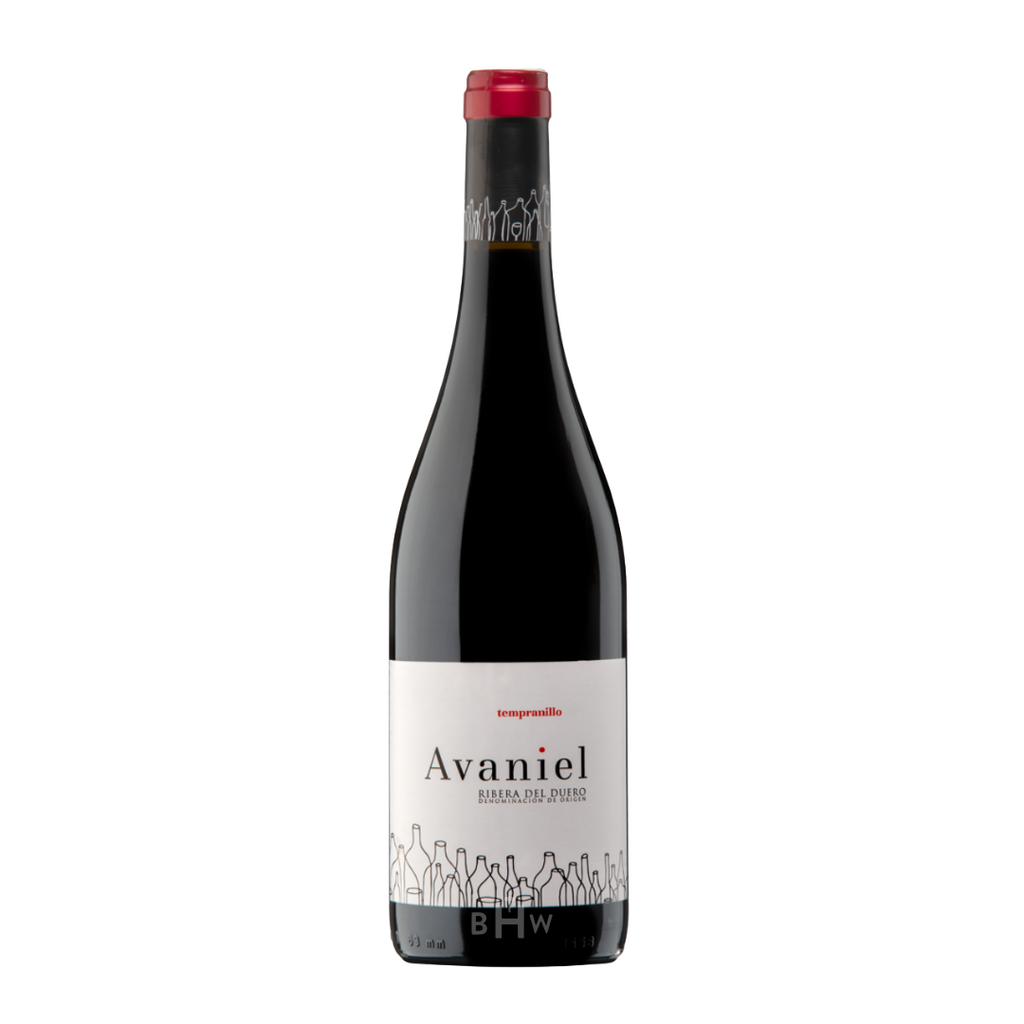 2021 Bodegas Monteabellon Avaniel Ribera del Duero Tinto