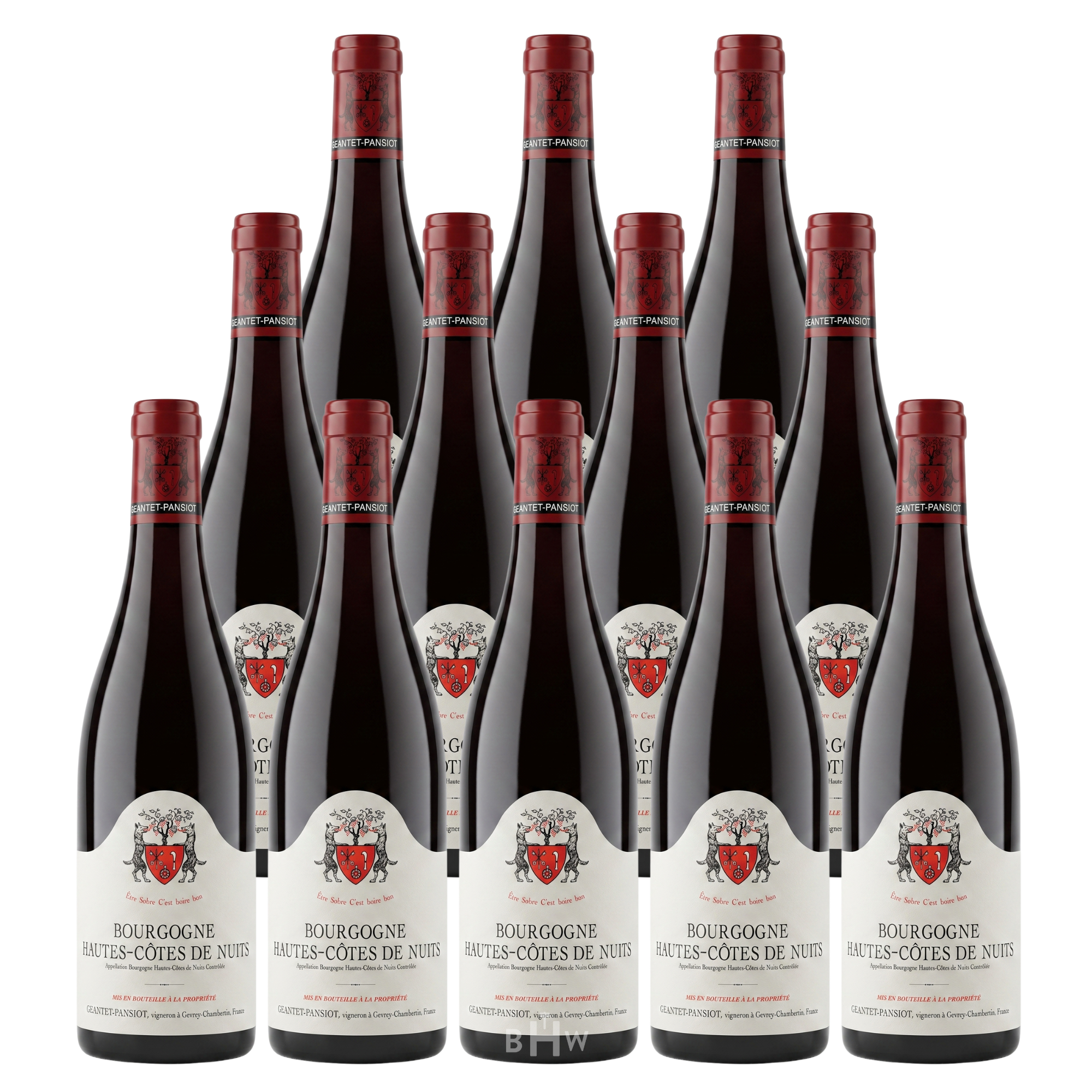 2021 Domaine Pansiot Bourgogne Hautes Cotes de Nuits Rouge Burgundy 12pk 12x750ml