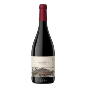 Image of 2021 Otronia 45 Rugientes Pinot Noir