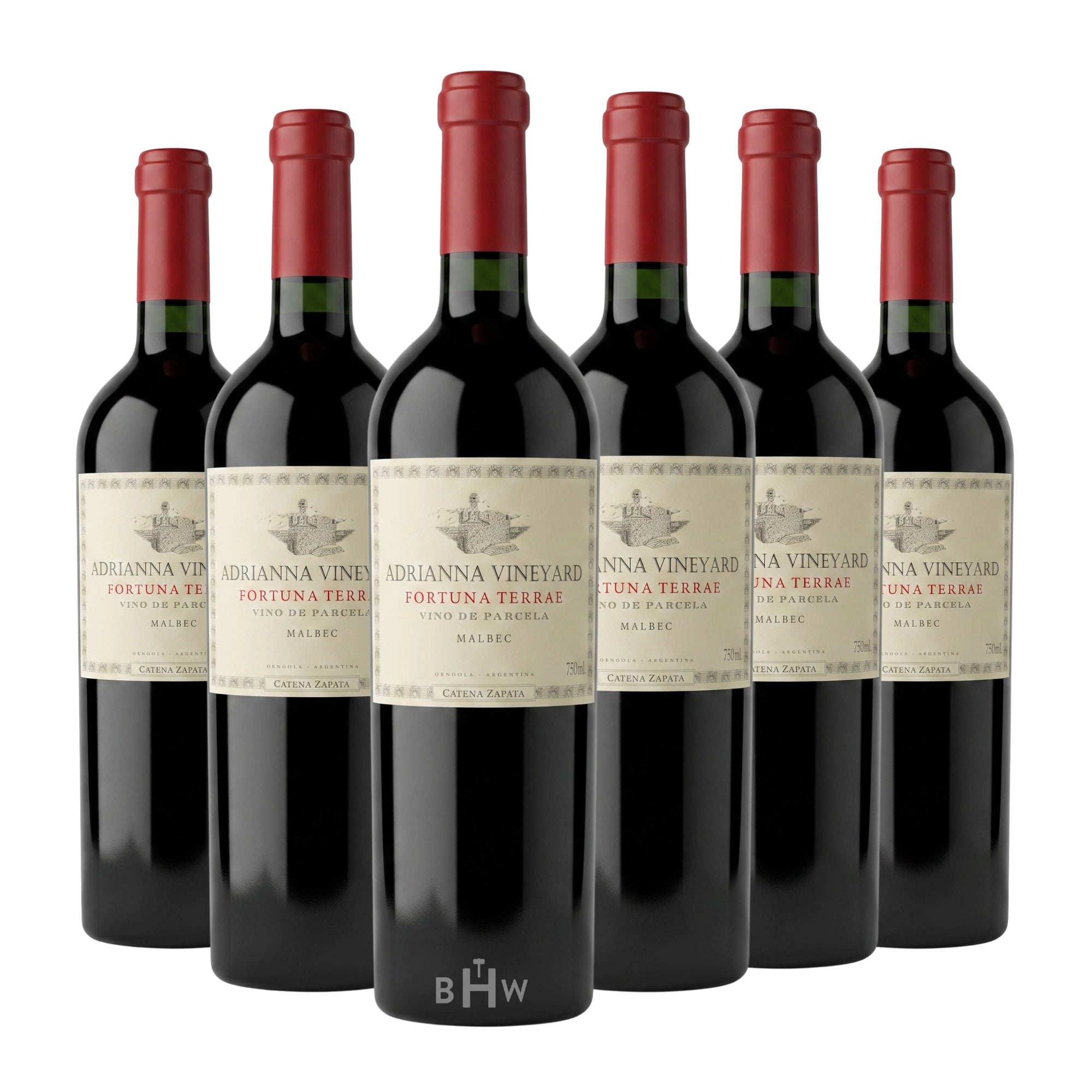 Six bottles of 2022 Catena Zapata Adrianna Vineyard Fortuna Terrae Malbec red wine, curated by Big Hammer Wines.