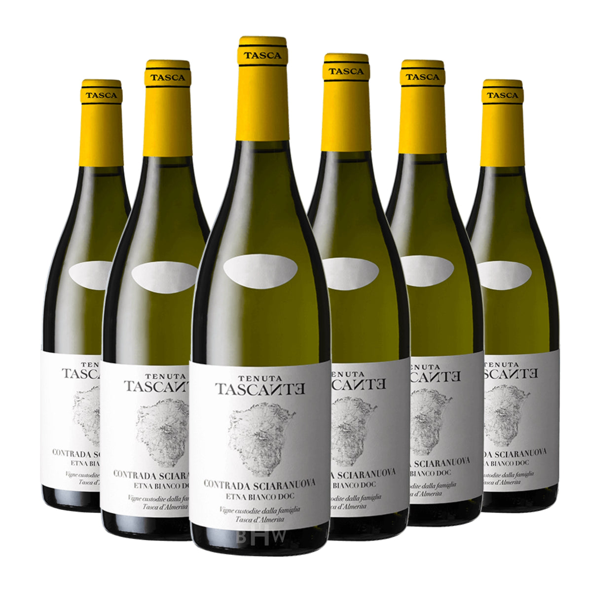 Six bottles of 2022 Tascante 'Contrada Sciaranuova' Etna Bianco Carricante white wine. Curated by Big Hammer Wines.